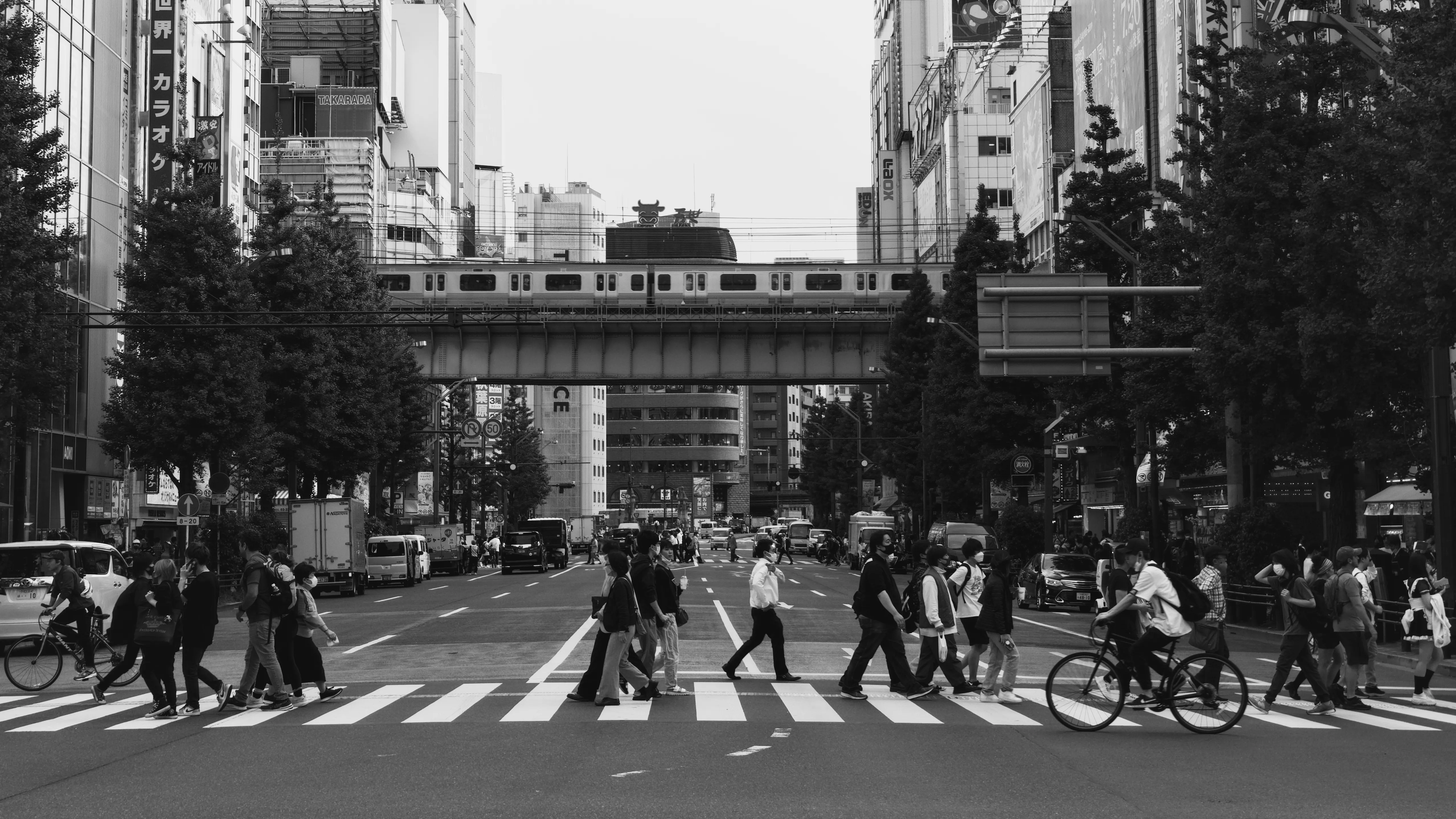 Black & White Gallery - Picture 3